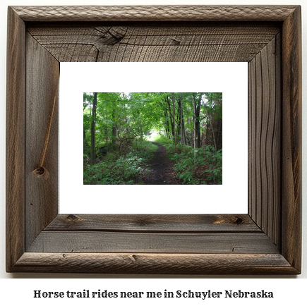 horse trail rides near me in Schuyler, Nebraska